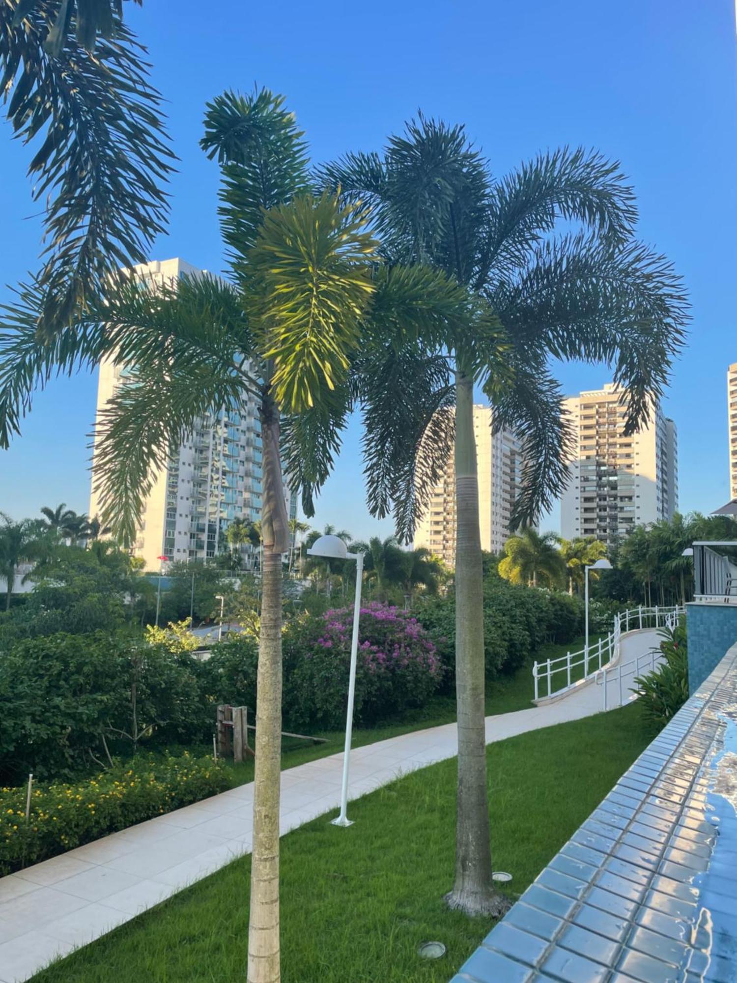Apartamento Barra Da Tijuca Riocentro Ilha Pura Parque Olimpico Rock In Rio 2024 Piscina Aquecida Apartamento