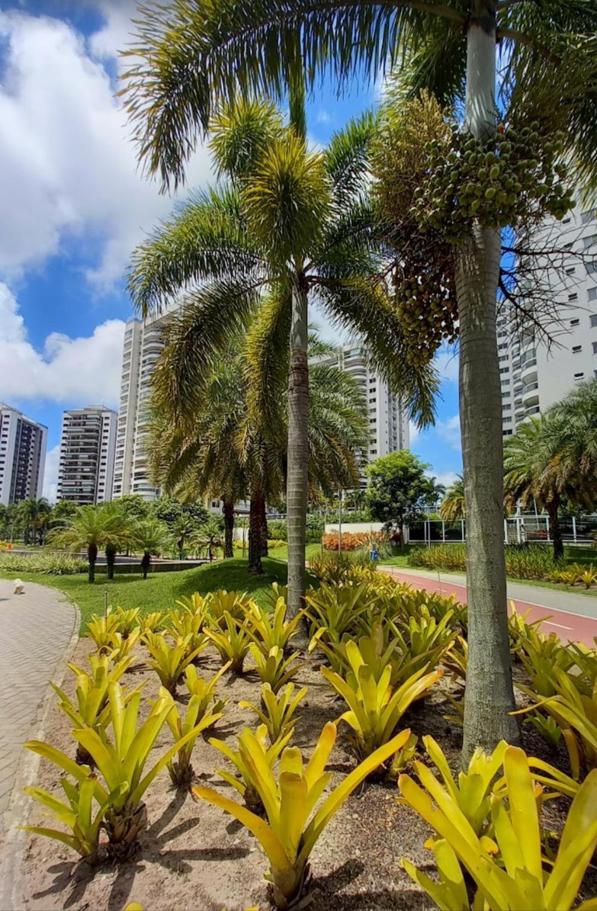 Apartamento Barra Da Tijuca Riocentro Ilha Pura Parque Olimpico Rock In Rio 2024 Piscina Aquecida Rio de Janeiro