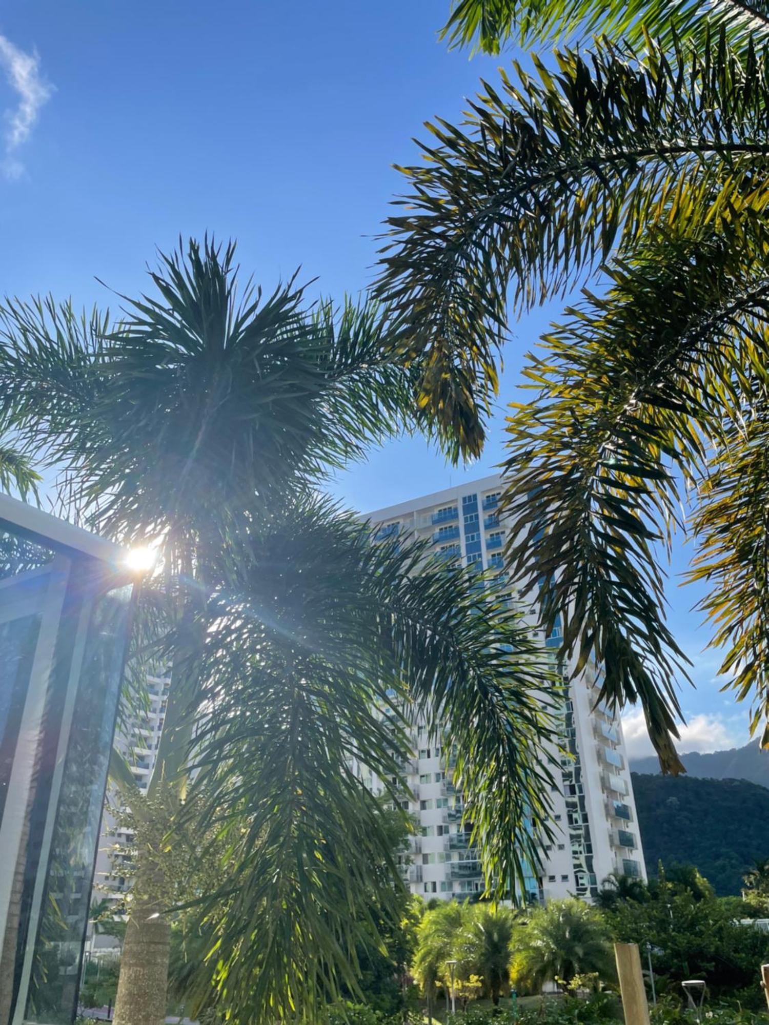 Apartamento Apartamento Barra Da Tijuca Riocentro Ilha Pura Parque Olimpico Rock In Rio 2024 Piscina Aquecida Rio de Janeiro