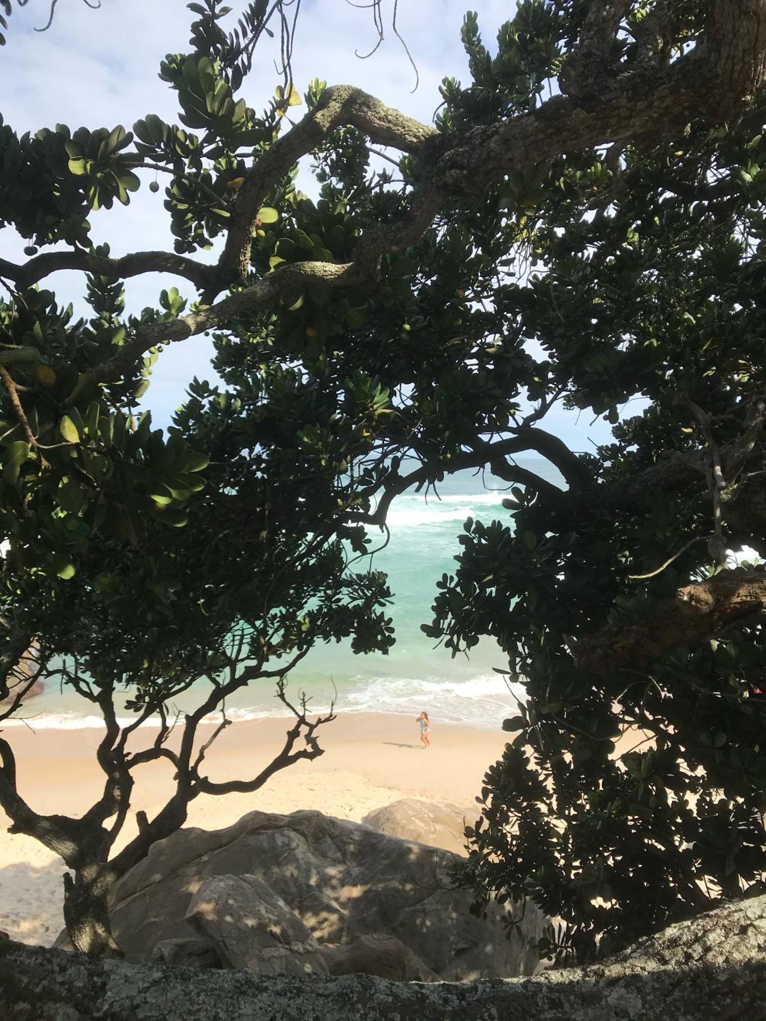 Apartamento Barra Da Tijuca Riocentro Ilha Pura Parque Olimpico Rock In Rio 2024 Piscina Aquecida Apartamento *